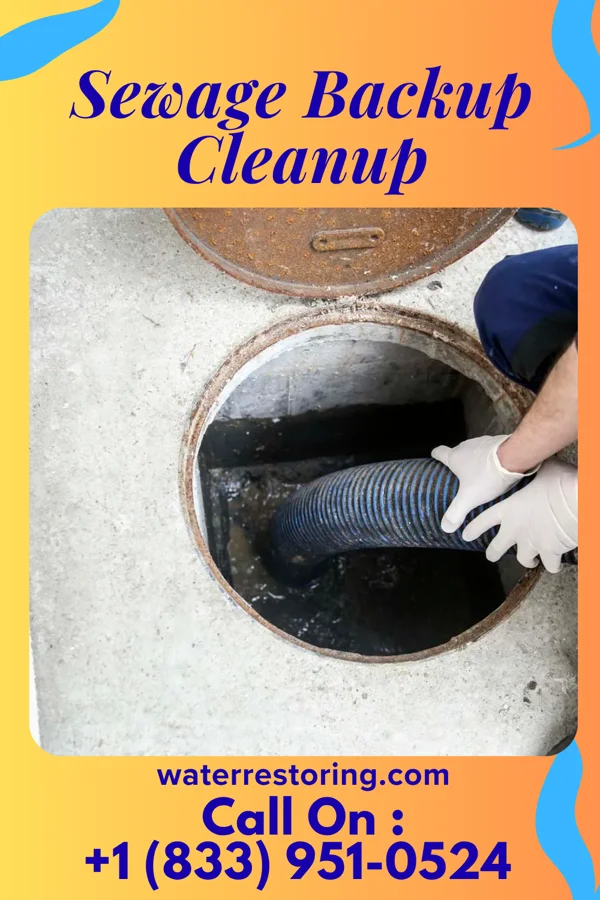 Sewage Backup Cleanup in Blue Springs, MO