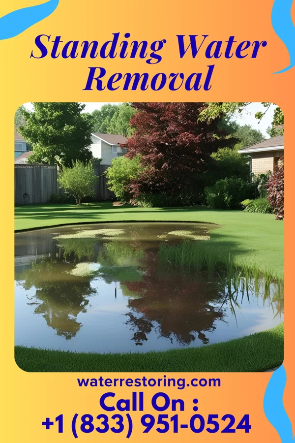 Standing Water Removal in Blue Springs, MO